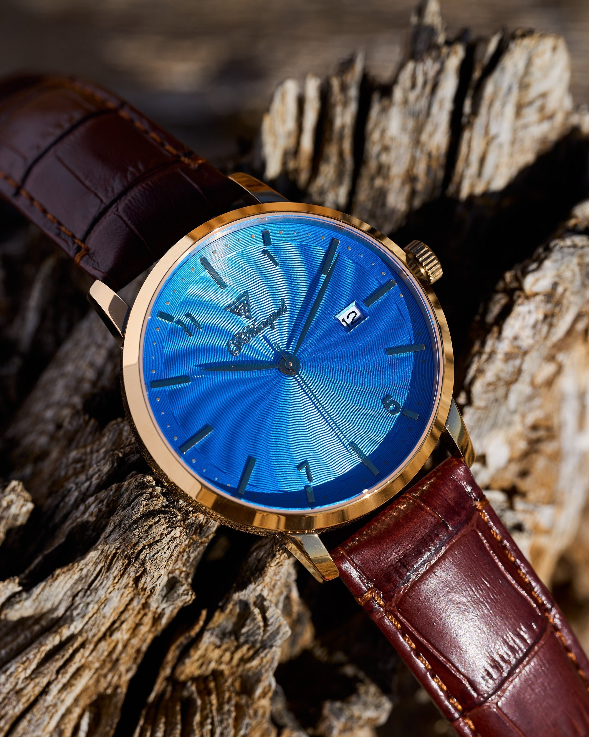 The J Marquel Daydream vs. Odyssey: Which Collection Is Right for You?