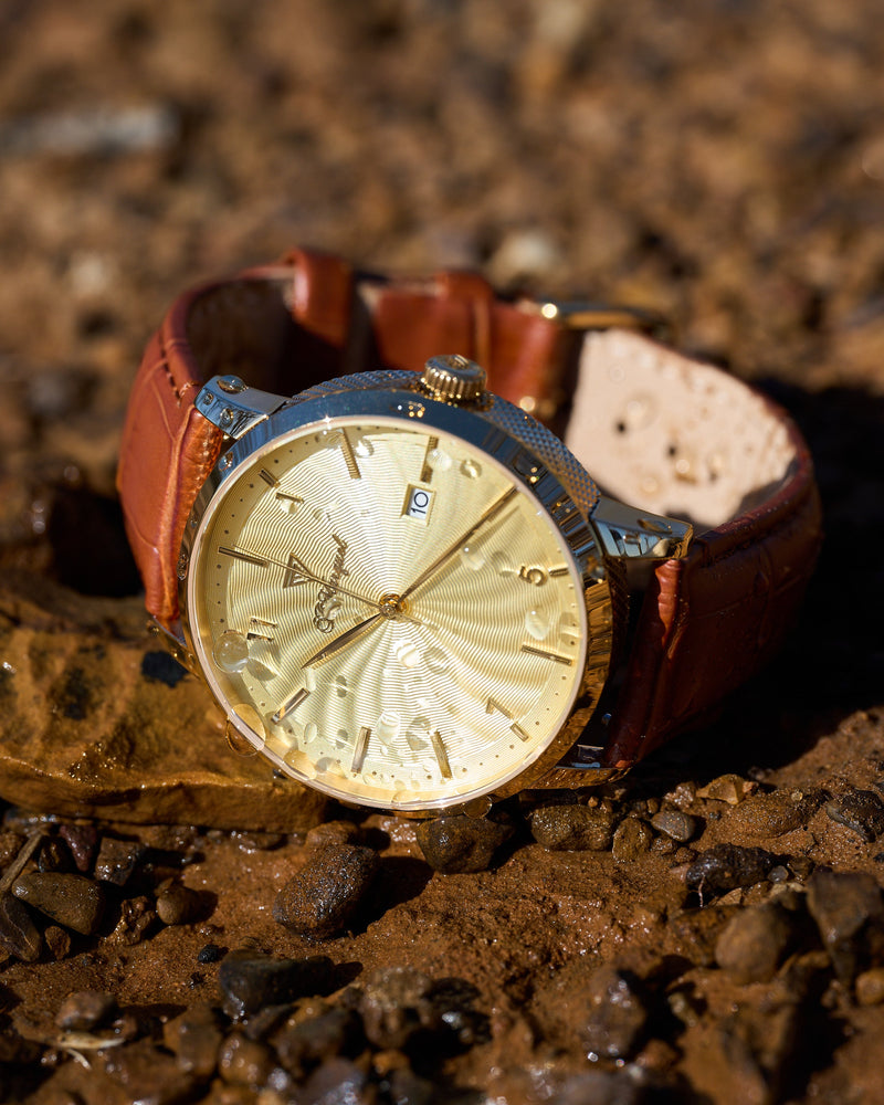 What Makes an Automatic Watch Worth the Investment